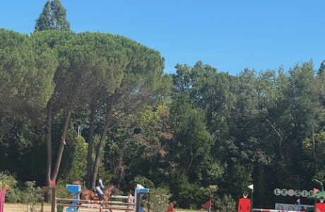 meglio un campo grande o piccolo nel salto ostacoli