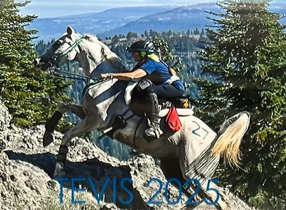 TEVIS CUP 2025: Ita Marzotto e Bam, un legame profondo lungo 100 miglia 2 IMG 2873