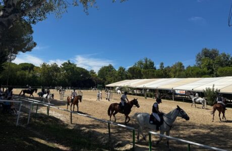 l'eleganza in campo prova