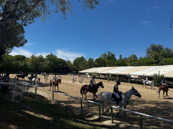 l'eleganza in campo prova