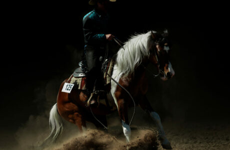 Cavallo e cavaliere durante una competizione di reining