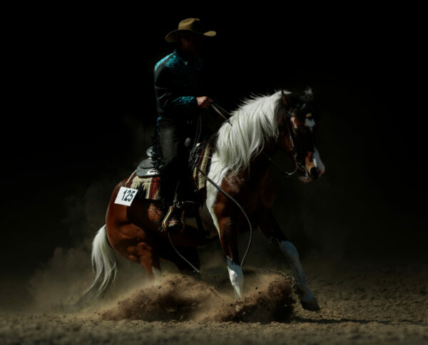 Cavallo e cavaliere durante una competizione di reining