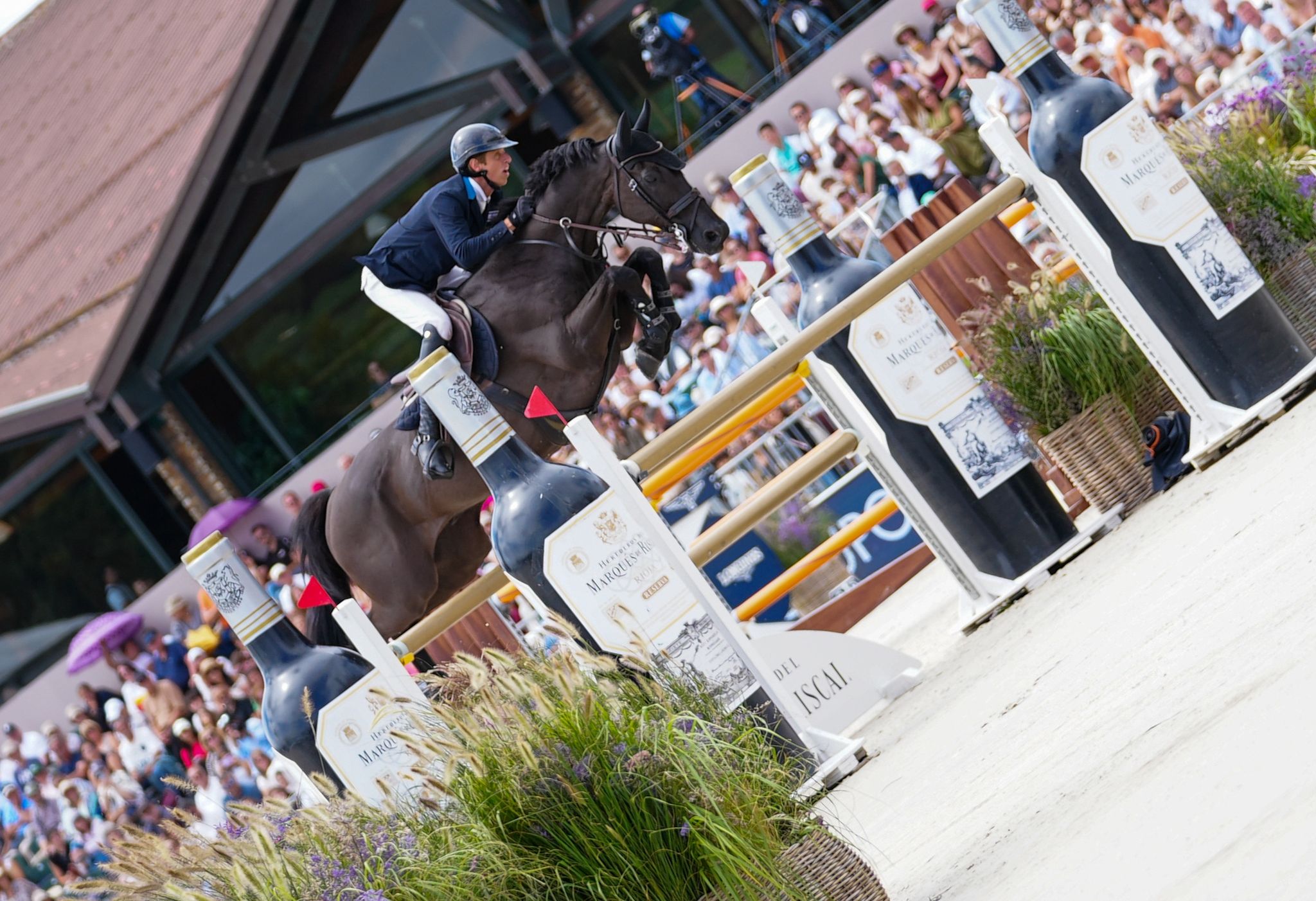 “Bringing the Flag Forward”: Robin Muhr on Horses, Pressure, and Riding for Israel 1 Robin Muhr