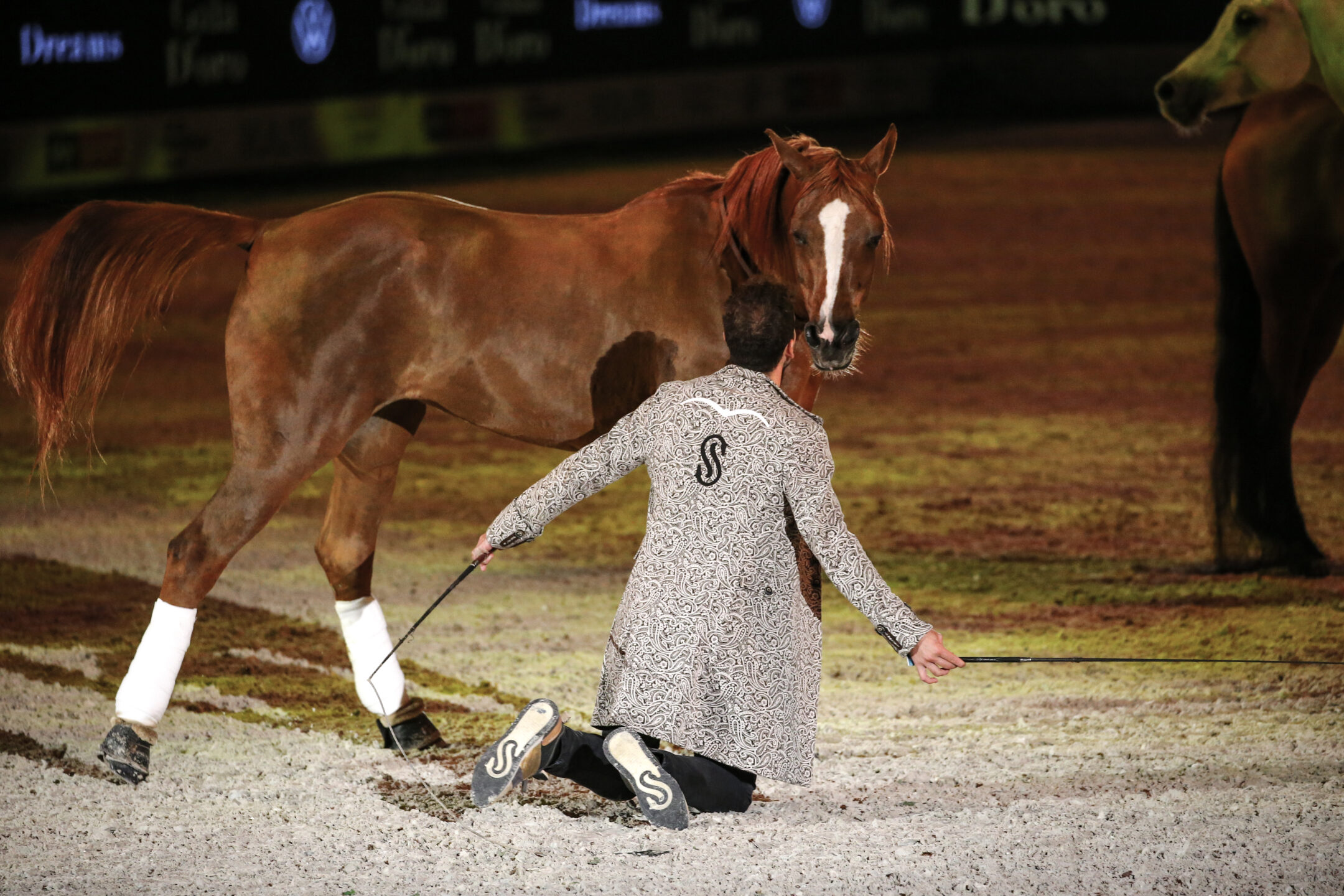 I cavalli e il loro aiuto nello sviluppo del carattere dell'uomo. 1 SantiSerra Verona2019 SS7 0580 1