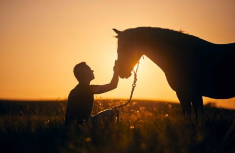 Silhousette of man while stroking of therapy horse on meadow at sunset