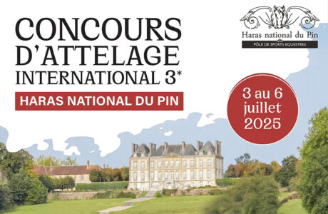 Rocco Cordera in trasferta in Francia per il CAI3*H2 di Le Pin au Haras. 1 Trasferta oltralpe per Rocco Cordera