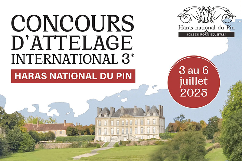 Rocco Cordera in trasferta in Francia per il CAI3*H2 di Le Pin au Haras. 1 Trasferta oltralpe per Rocco Cordera