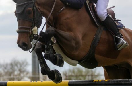 Binomi italiani a Monte Carlo per il Longines Global Champions Tour. 1 Azzurri in gara anche in Austria, Francia, Spagna, Belgio, Germania e Italia