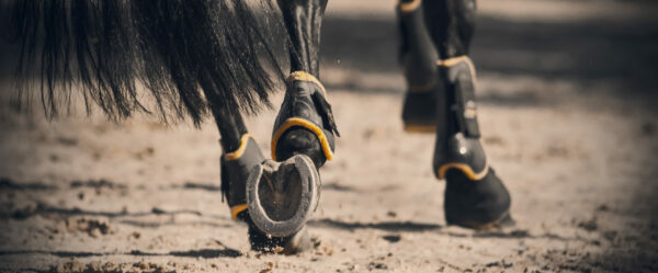 Perché è importante cambiare diagonale del trotto quando si cambia mano 47 Piedi un cavallo al trotto