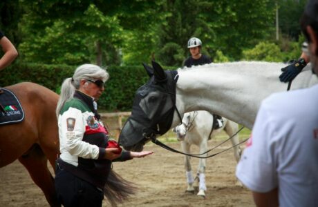 Tutto pronto a Kronberg per gli Europei di Dressage Young Riders e Under 25. 1 Laura Conz con gli Europei 2025