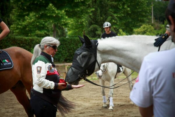 Tutto pronto a Kronberg per gli Europei di Dressage Young Riders e Under 25. 26 Laura Conz con gli Europei 2025