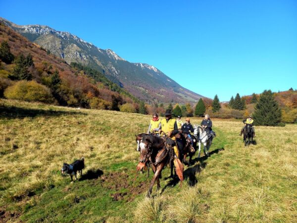 127ma edizione di Fieracavalli on Tour