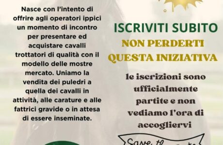 1 ° rassegna stampa Cavallo trottare italiano inizia il contdown