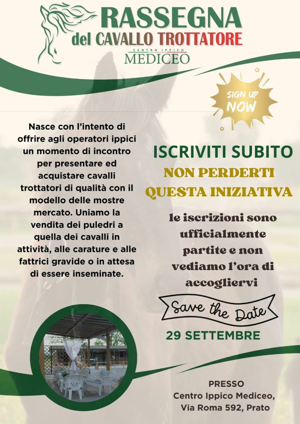 1 ° rassegna stampa Cavallo trottare italiano inizia il contdown