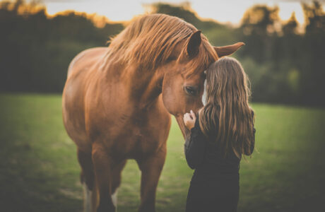 I benefici degli sport equestri sullo sviluppo psico-motorio dei bambini 1 ragazza con cavallo