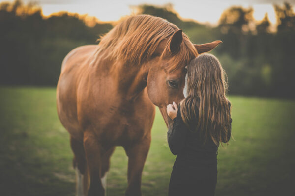 ragazza con cavallo