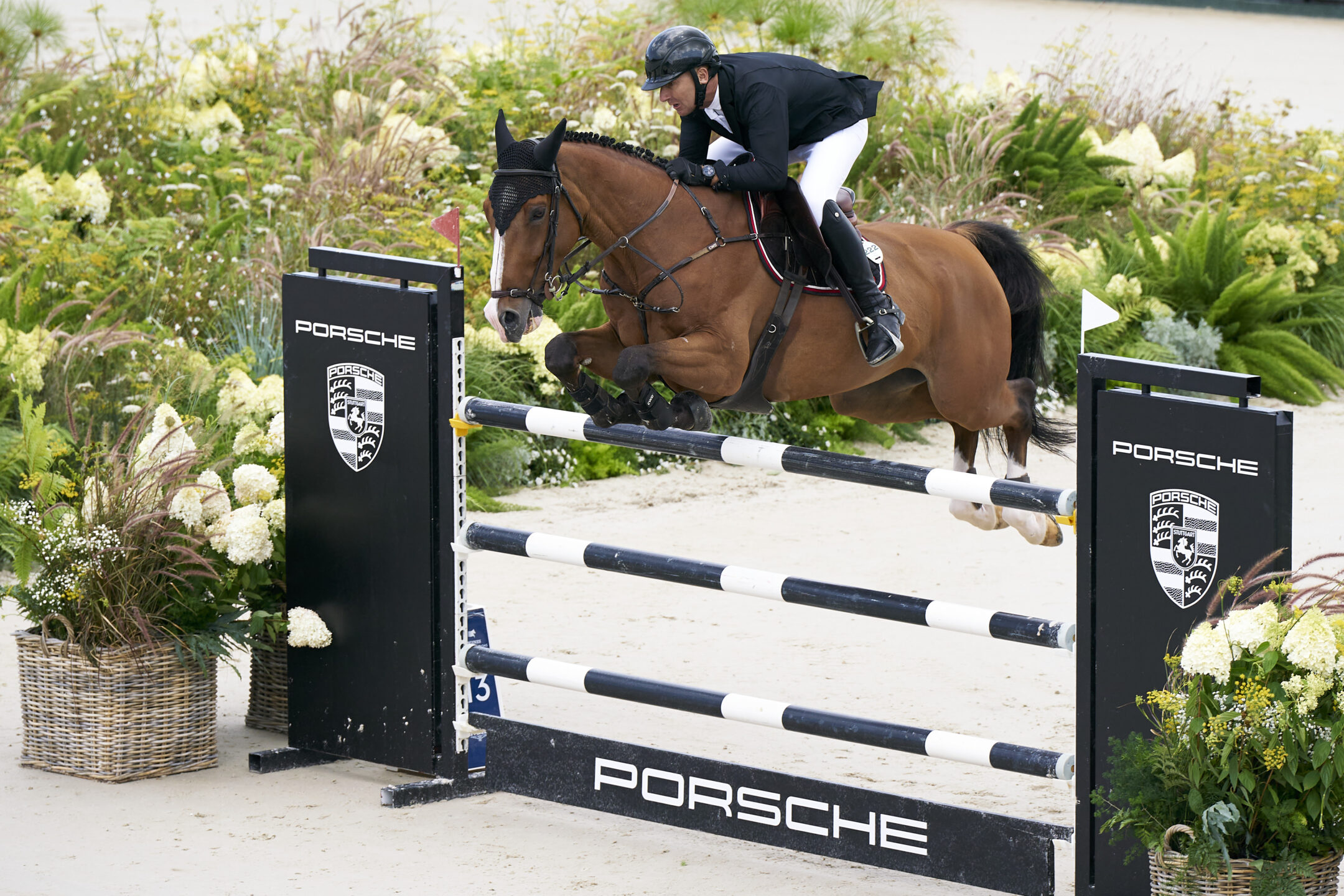 Casas Novas è pronta a ospitare un CSI 3* di alto livello, ricco di emozioni e di spettacolo. 1 Casas Novas è pronta a ospitare un CSI 3* di alto livello, ricco di emozioni e di spettacolo.
