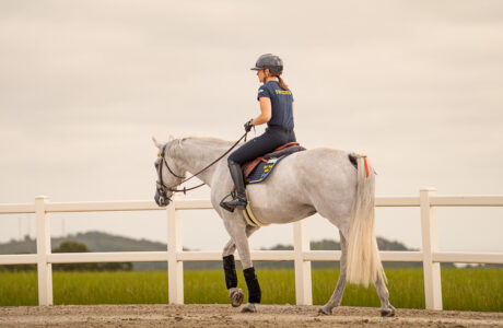 Tutto pronto a Casas Novas per l'inizio dei Campionati Europei Longines FEI di salto ostacoli. 1 Tutto pronto a Casas Novas per l'inizio dei Campionati Europei Longines FEI di salto ostacoli