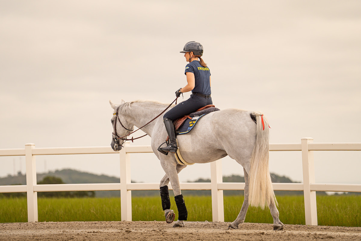 Tutto pronto a Casas Novas per l'inizio dei Campionati Europei Longines FEI di salto ostacoli. 1 Tutto pronto a Casas Novas per l'inizio dei Campionati Europei Longines FEI di salto ostacoli