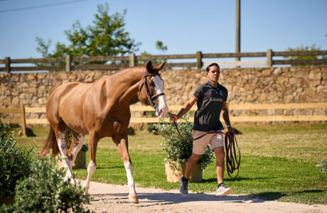 Tutto pronto a Casas Novas per l'inizio del Campionato Europeo Longines FEI di Salto Ostacoli. 1 Campionati Europei Casas Novas 2025