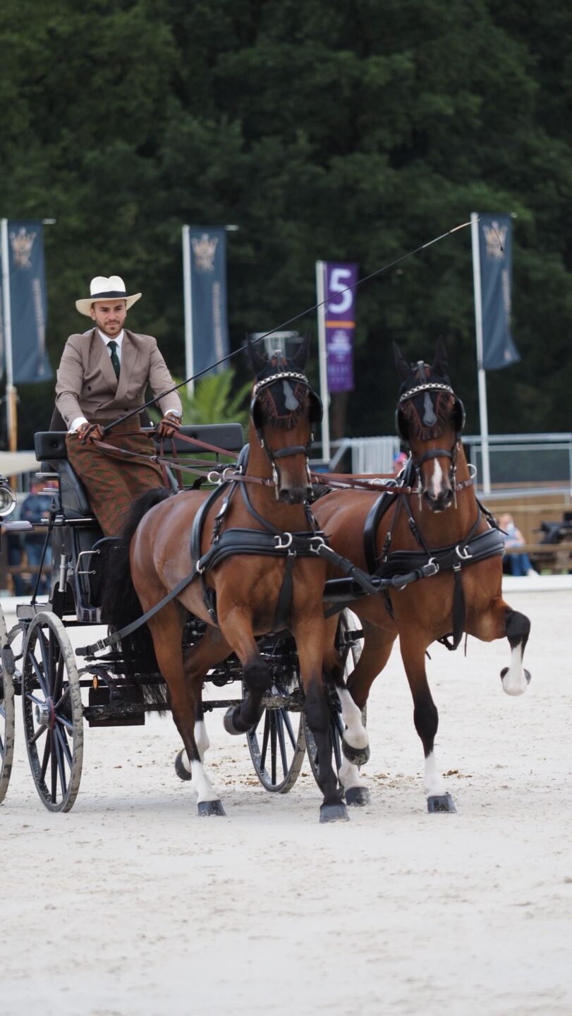 Mondiali Pariglie Attacchi 2025 di Beekbergen: il podio a squadre e i risultati degli italiani nel dressage 3 0f5baab5 03be 4185 b71a 9c6fc2a54eaa