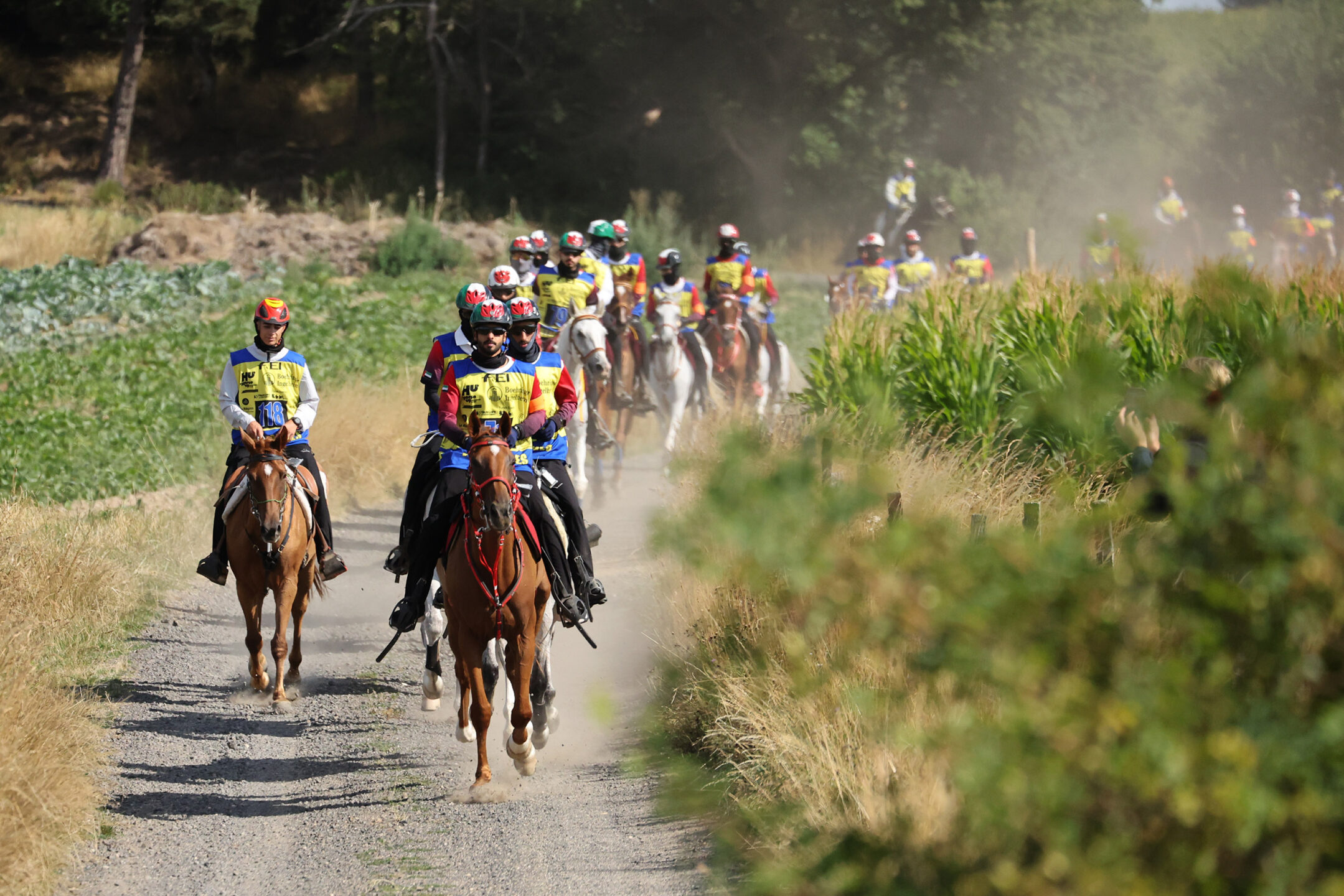 Italia a un passo dal bronzo al Young Horses 2025. 1 mondiale giovani cavalli 2025