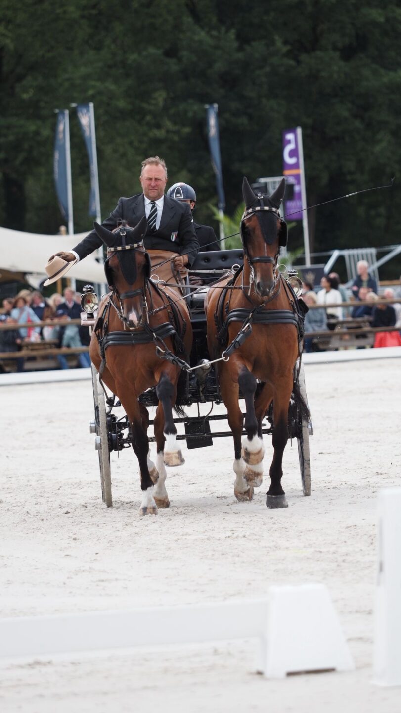 Mondiali Pariglie Attacchi 2025 di Beekbergen: il podio a squadre e i risultati degli italiani nel dressage 2 5148d348 2b33 460a b2c1 b10a893b25f0