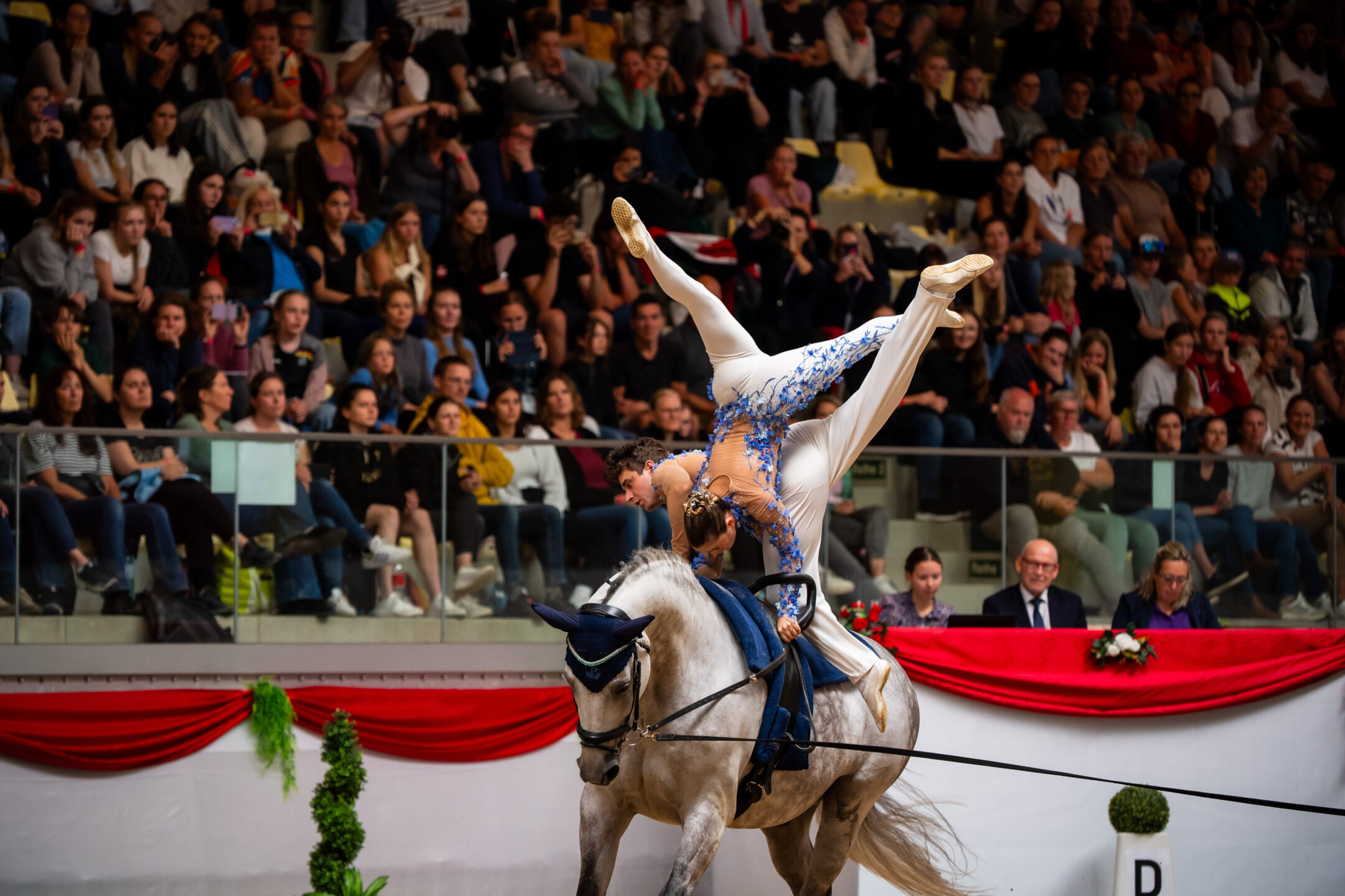 Campionati Europei di Volteggio 2025: Greggio e Zanella conquistano l’oro nel Pas de Deux 1 54697428913 3d9cd807ed o