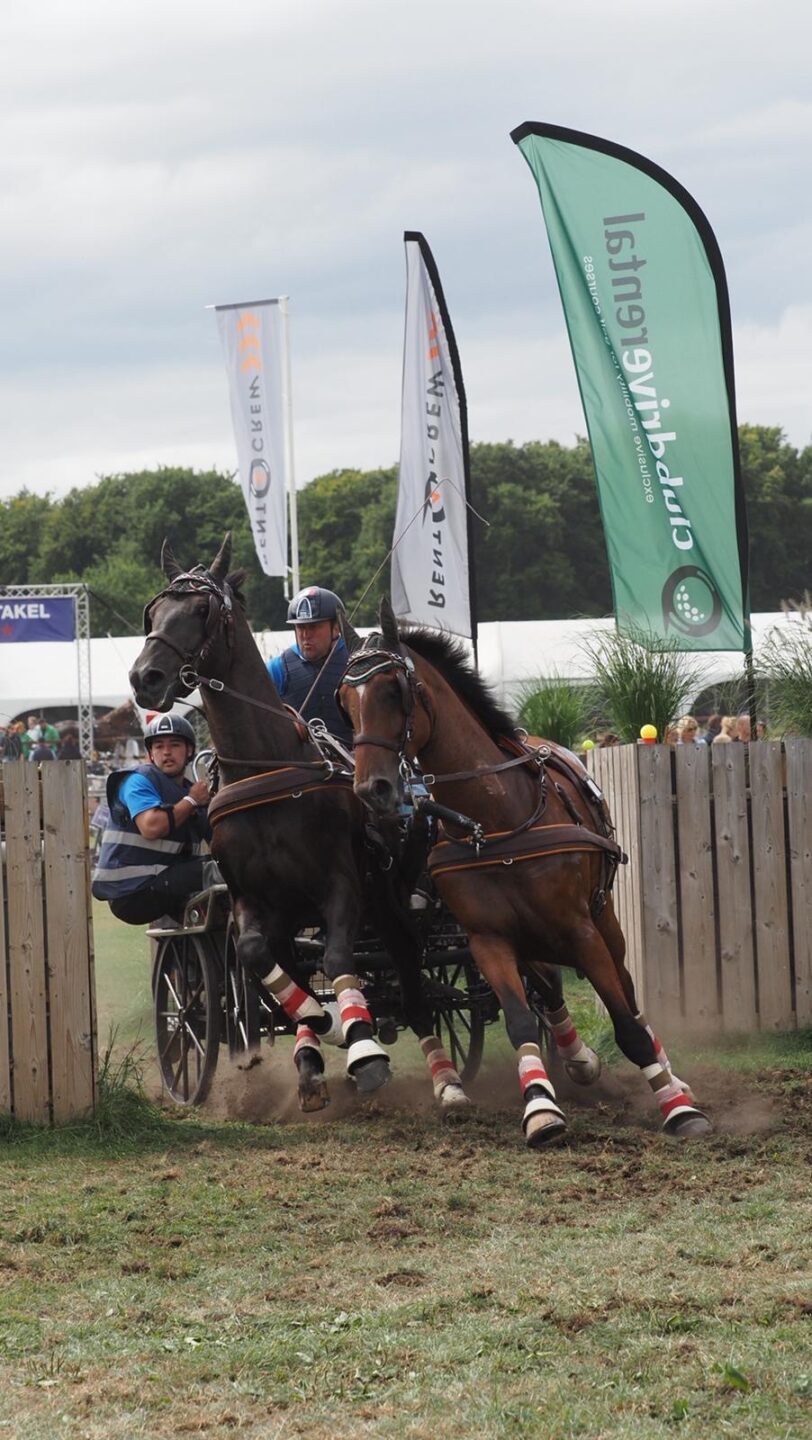 FEI World Driving Championship Pariglie 2025: brilla Gabriele Grasso, Italia in crescita dopo la maratona di Beekbergen 5 795a6990 440c 4cb0 ac42 7ba439b406d3