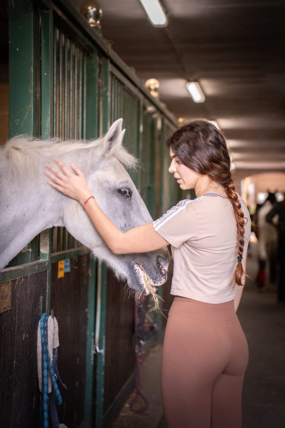 Preparazione fisica equestre: dalla valutazione funzionale alla strutturazione dell’allenamento del cavaliere 5 8d4c68a3 50e4 4c24 9d8a b11e87736526