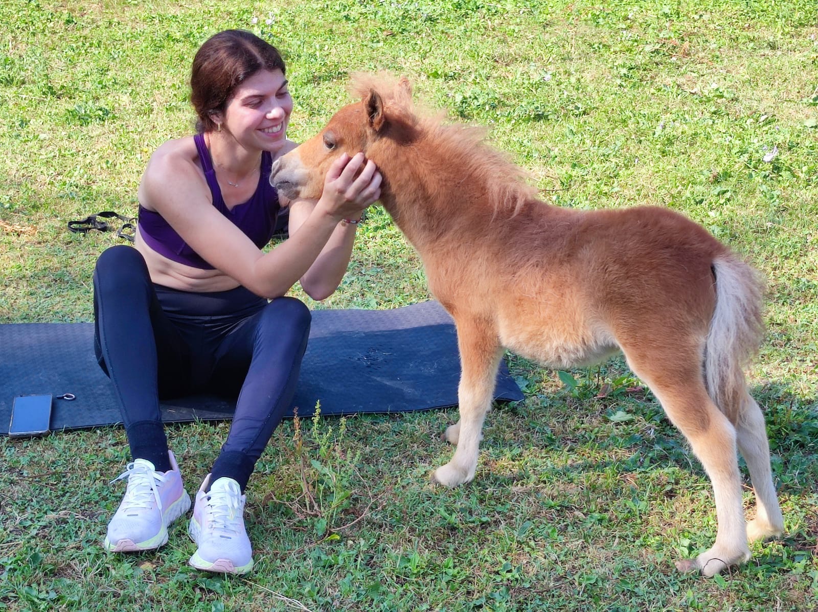 Preparazione fisica equestre: dalla valutazione funzionale alla strutturazione dell’allenamento del cavaliere 2 92e1233d 6f78 40fb 931e d7a66b592f3b