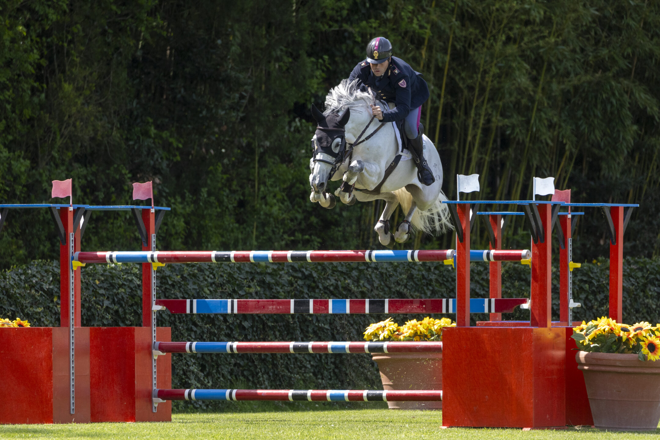 Coata Luca riding Holly del Rilate CampItaAss Cervia 20240419 SS359849
