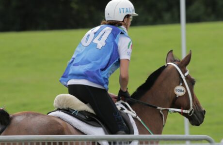 Il cuore del cavallo nell'endurance. foto Stefano Sechi