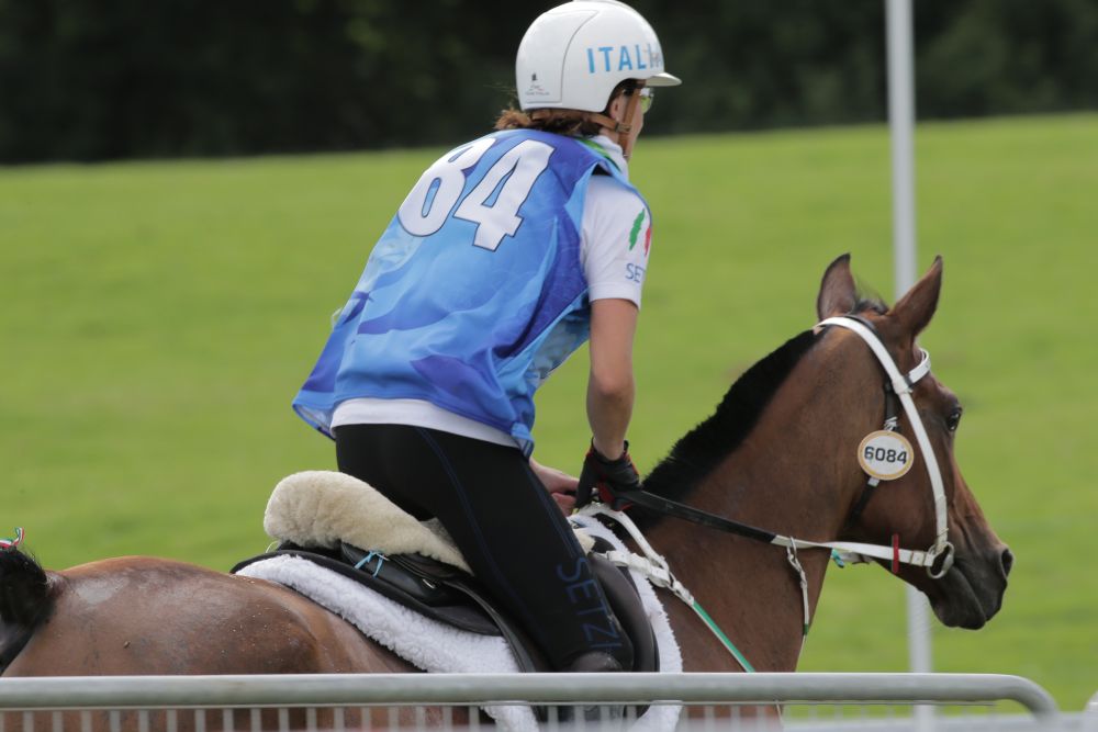 Il cuore del cavallo nell'endurance. foto Stefano Sechi