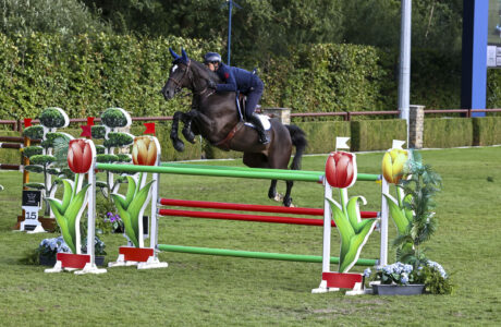 Garofalo Giampiero ITA CSI4 Querido van t Ruytershof 155 20250803 LTIA LGFC 03SG8235