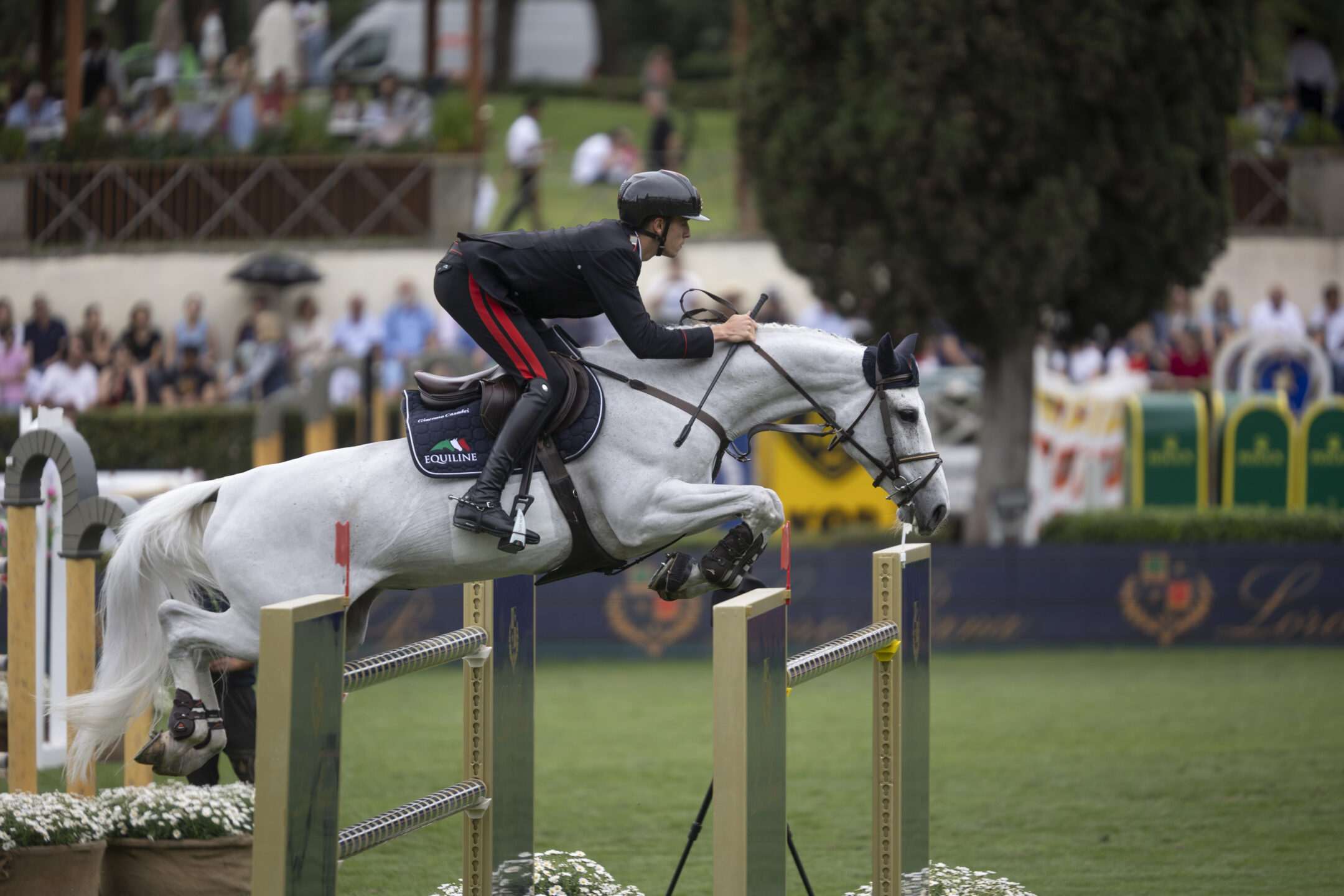 Weekend d’oro per l’equitazione azzurra, bene Casadei a Cervia. 1 Giacomo-Casadei-ITA-Corradiena-Van-T-Klein-Asdonkz_ROMA