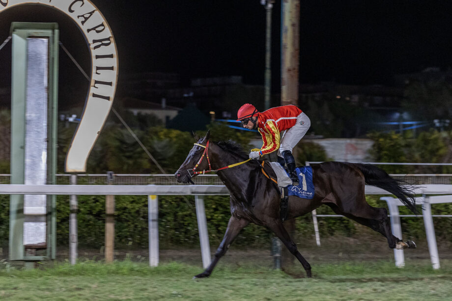 Ippodromo Federico Caprilli: giornata di corse di domenica 17 e previsioni 24 agosto. 3 Premio mario Fusai Far Oer
