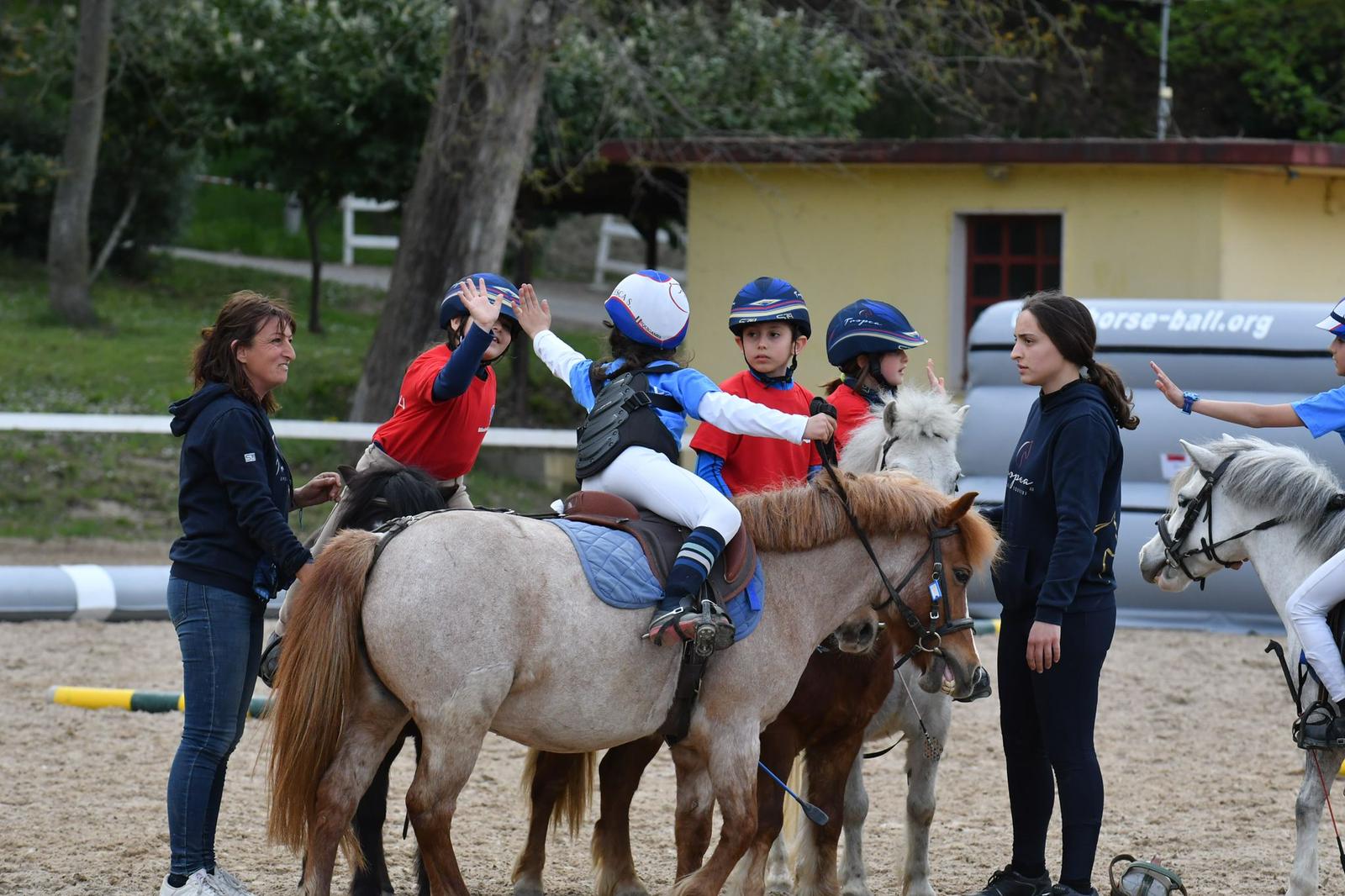 Dopo l’oro europeo, parte il progetto FISE Enjoy Horse-Ball: call di lancio l’8 settembre 3 Progetto Enjoy Horseball FISE