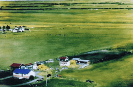 Spruce Meadows la storia
