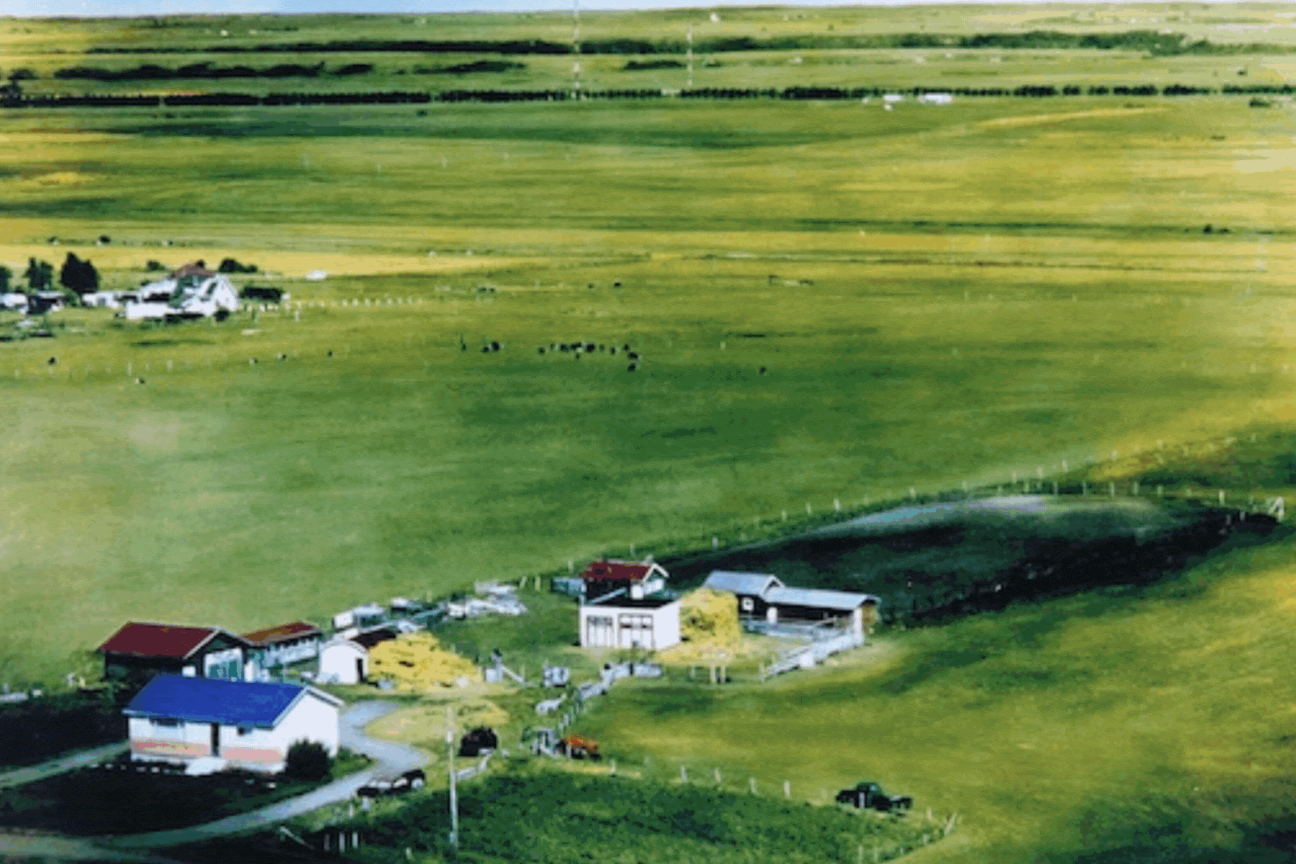 Cinquant’anni di Spruce Meadows – Un’eredità in divenire. Dalle radici familiari a un’icona mondiale. 1 Spruce Meadows la storia