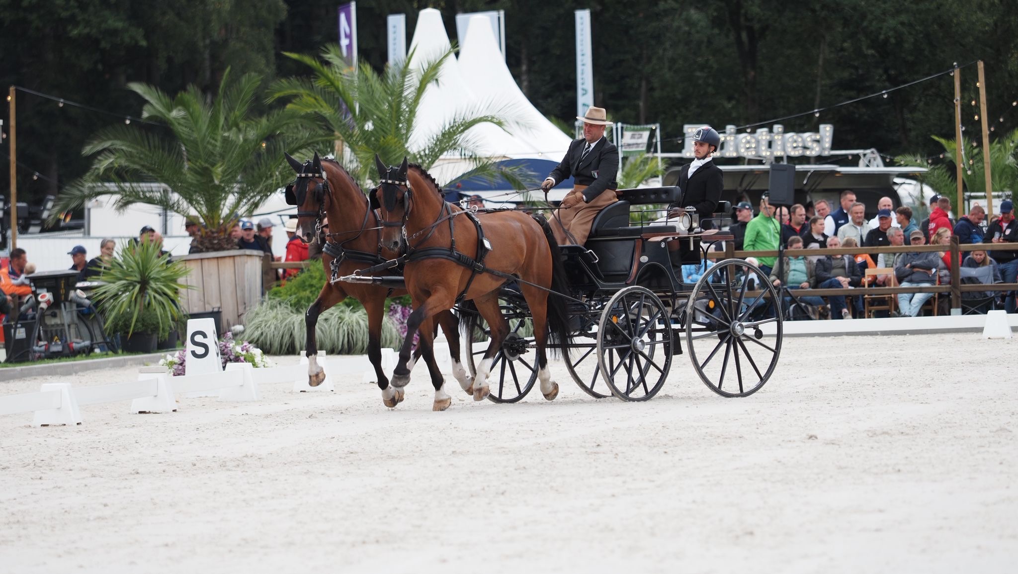 Mondiali Pariglie Attacchi 2025 di Beekbergen: il podio a squadre e i risultati degli italiani nel dressage 1 c474d099 b4ee 46f1 a005 76fe522fa557