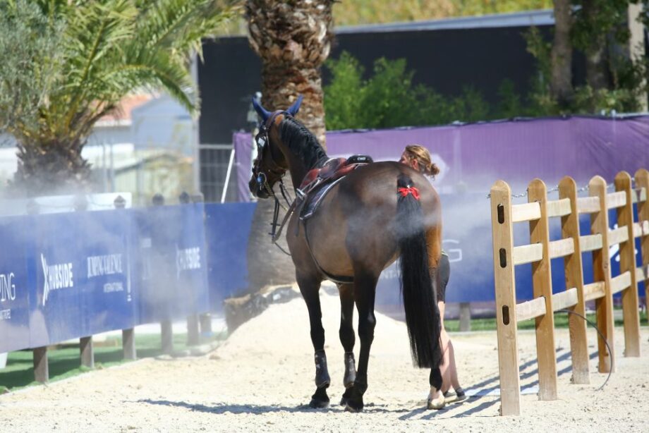 cavallo