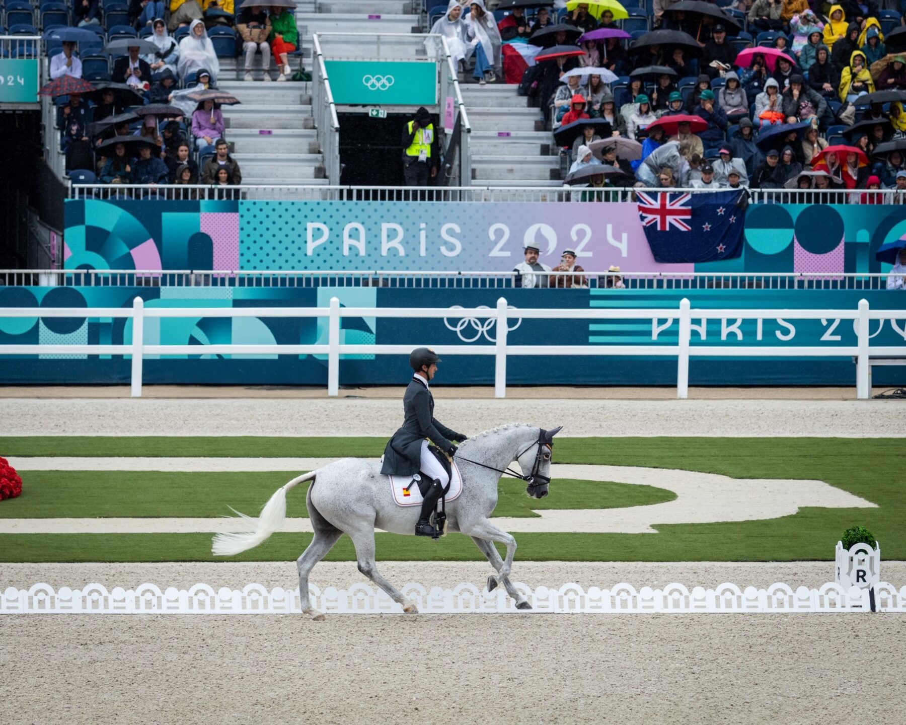 Esteban Benítez: A Promise, a Mare, and a Dream Come True 1 d303ea61 491c 4caf a985 25eff6d9178b