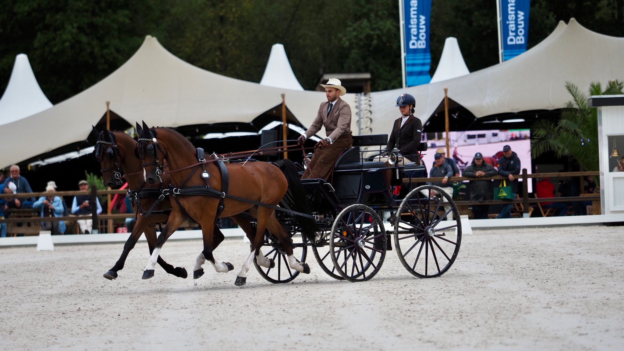 Mondiali Pariglie Attacchi 2025 di Beekbergen: il podio a squadre e i risultati degli italiani nel dressage 4 da758d6b 7a64 49a6 893e 07e01c85fb25