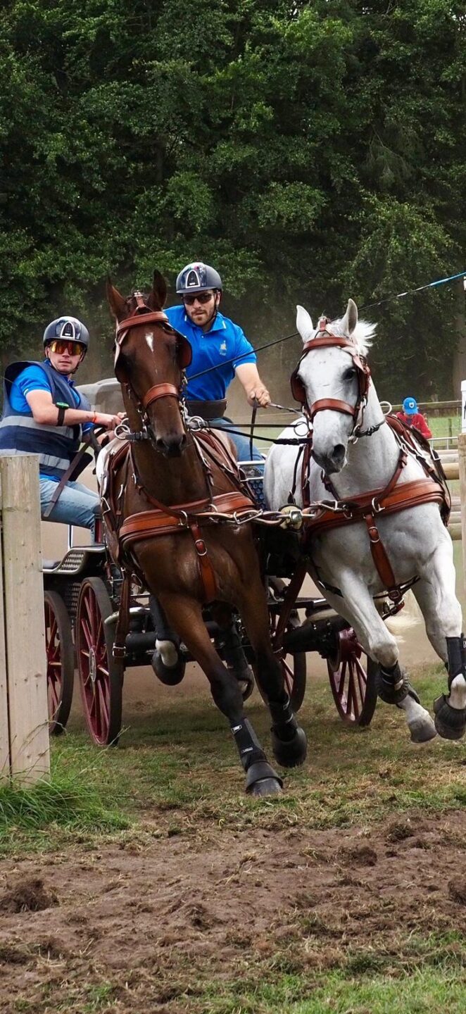 FEI World Driving Championship Pariglie 2025: brilla Gabriele Grasso, Italia in crescita dopo la maratona di Beekbergen 1 dcdca2ff c3f9 4107 b655 62fe11f9efdc 1