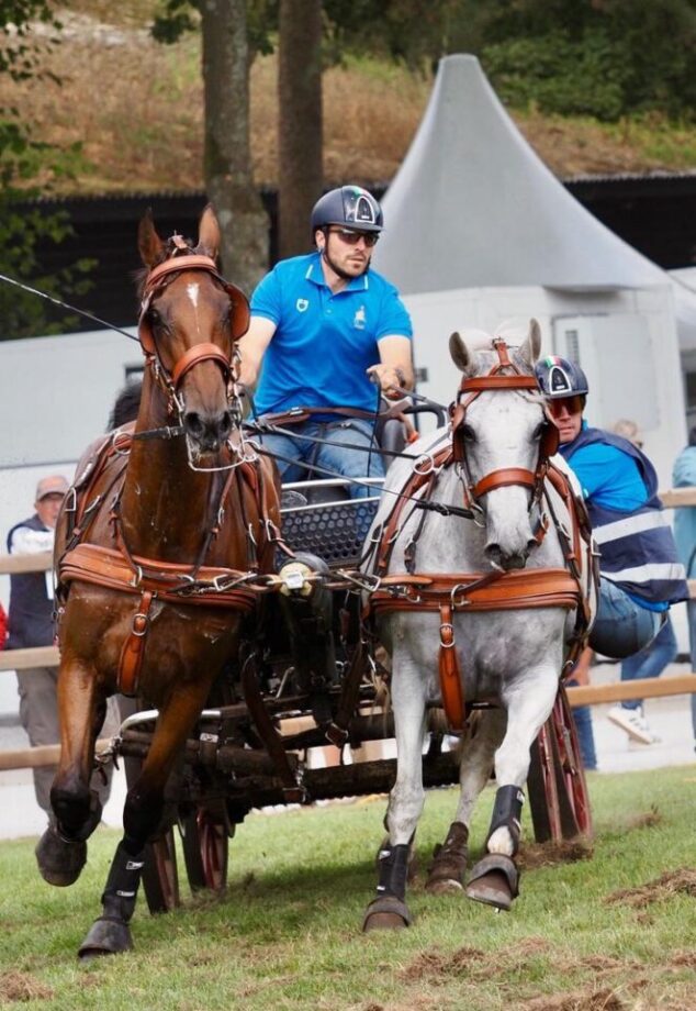 FEI World Driving Championship Pariglie 2025: brilla Gabriele Grasso, Italia in crescita dopo la maratona di Beekbergen 2 image 1
