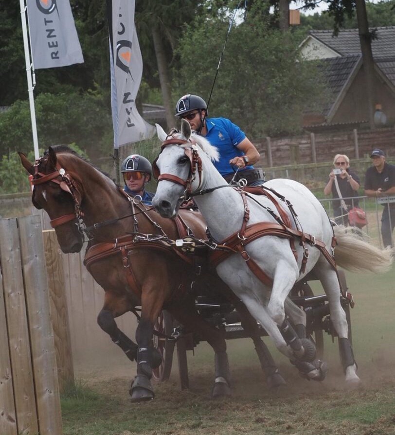 FEI World Driving Championship Pariglie 2025: brilla Gabriele Grasso, Italia in crescita dopo la maratona di Beekbergen 3 image 2