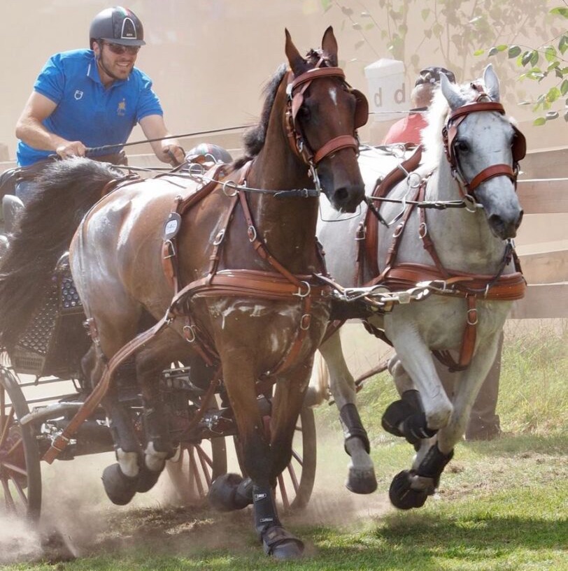 FEI World Driving Championship Pariglie 2025: brilla Gabriele Grasso, Italia in crescita dopo la maratona di Beekbergen 4 image