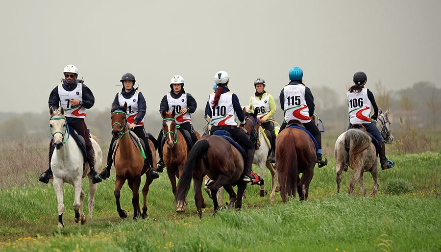 La finale MASAF: a Marina di Pisa batte il cuore del Cavallo Italiano 7 img 5586