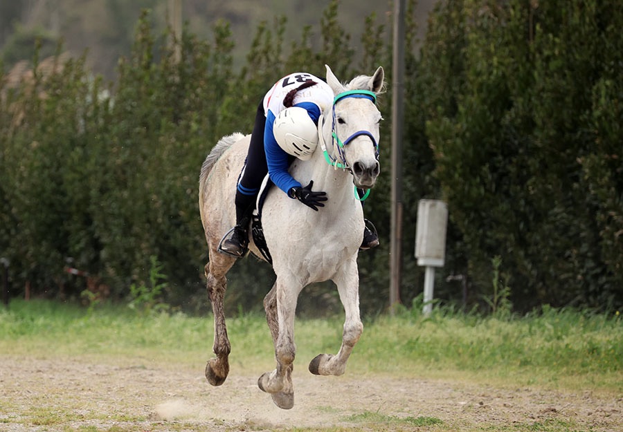 La finale MASAF: a Marina di Pisa batte il cuore del Cavallo Italiano 5 img 5587